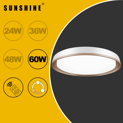 陽光 SUNSHINE 金透明 可調光暗 LED遙控天花燈吸頂燈 三色溫 3000K/4000K/6500K CLU-R