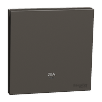 奐然系列 AvatarOn C 20A 單位雙極掣連LED指示燈 石墨灰 (20A燈曲) E8731D20N_DG