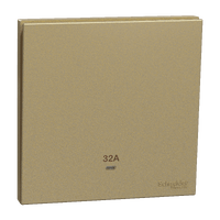 奐然系列 AvatarOn C 32A 單位雙極掣連LED指示燈 沉醉金 (32燈曲) E8731D32N_WG