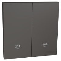 奐然系列 AvatarOn C 20A 兩位雙極掣連LED指示燈 石墨灰 (20A孖燈曲) E8732D20N_DG