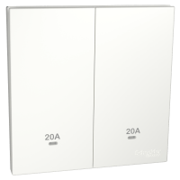 奐然系列 AvatarOn C 20A 兩位雙極掣連LED指示燈 白色 (20A孖燈曲) E8732D20N_WE
