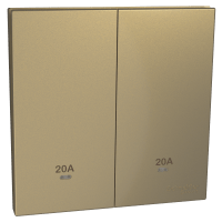 奐然系列 AvatarOn C 20A 兩位雙極掣連LED指示燈 沉醉金 (20A孖燈曲) E8732D20N_WG